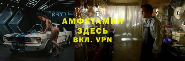 твердый Бородино