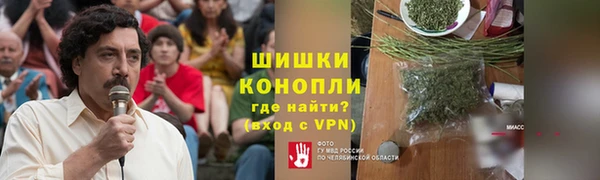 сатива Богородск
