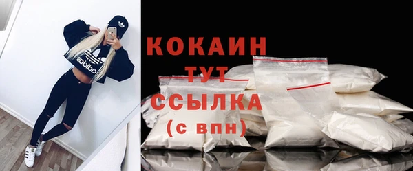 шишки Богданович