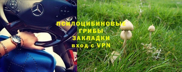 шишки Богданович
