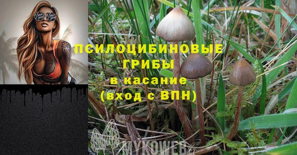 сатива Богородск