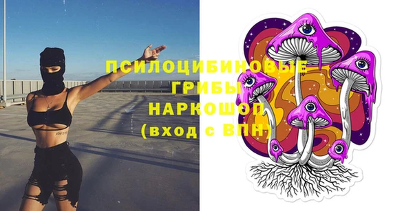 шишки Богданович