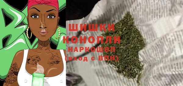 шишки Богданович