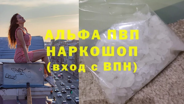 шишки Богданович